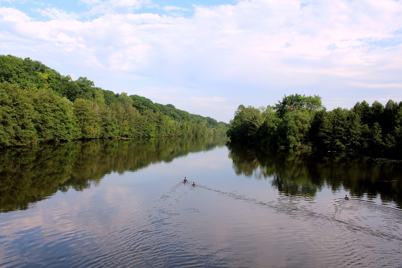 The calm, wide Huron River reflects a blue sky and puffy clouds between banks of thick green trees, with small wakes trailing across the water in the distance.