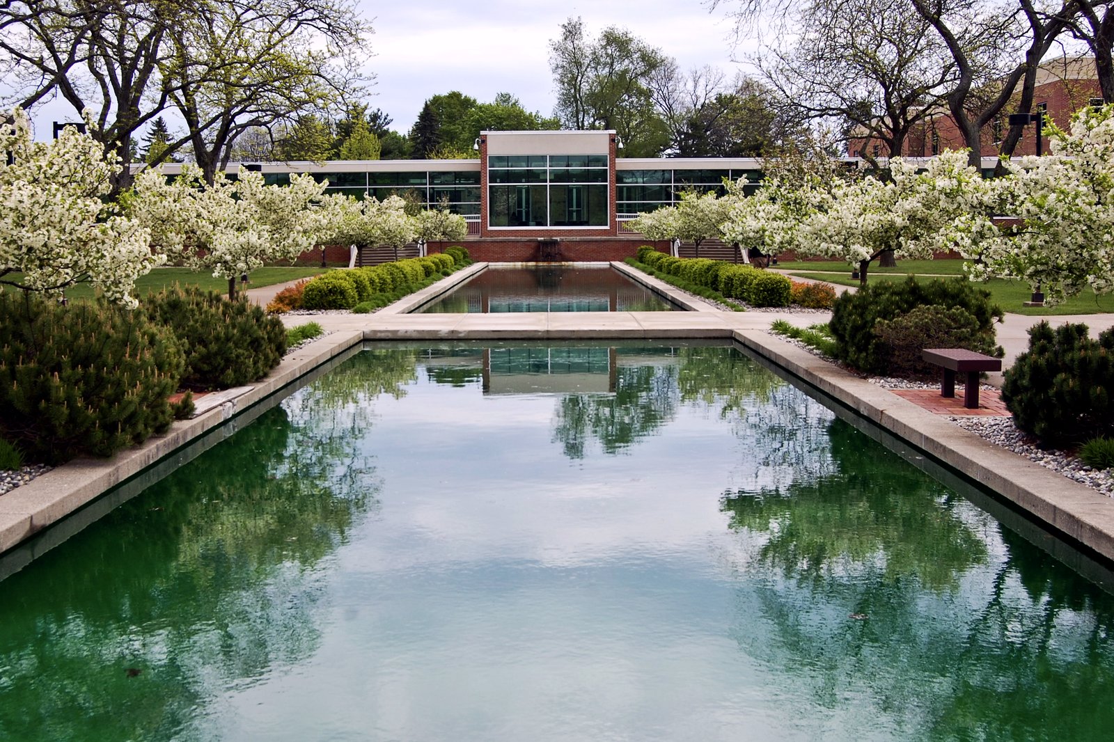 A long reflecting pool lined with shrubs and white flowering trees leads to a low glass-fronted brick building on a college campus.