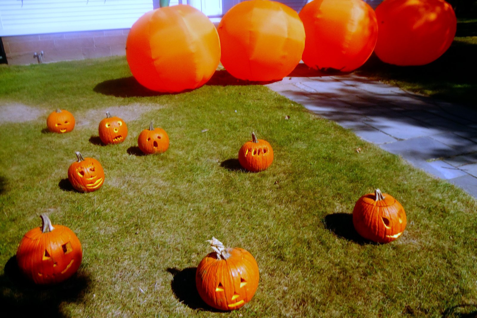 Several carved and uncarved orange pumpkins arranged on a green lawn in front of a white building.