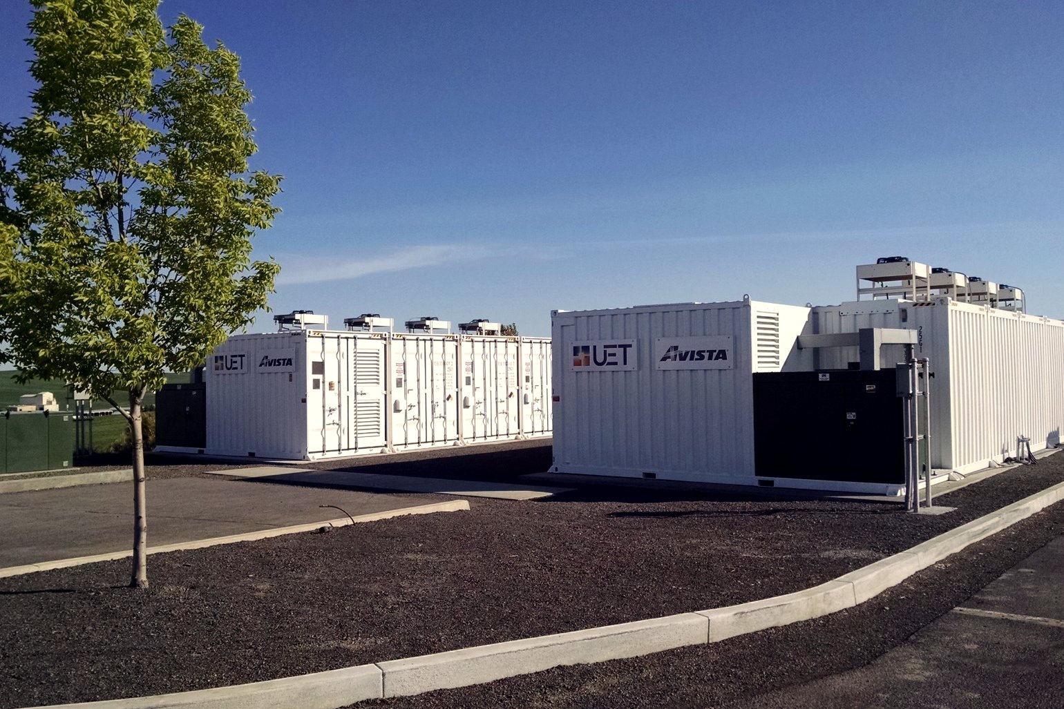 Rows of white shipping-container-style battery units with rooftop cooling equipment on a gravel pad beside a young tree under a blue sky.
