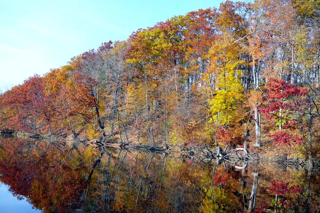 Trees in orange, red and yellow fall color line a riverbank and reflect in still water under a pale blue sky.