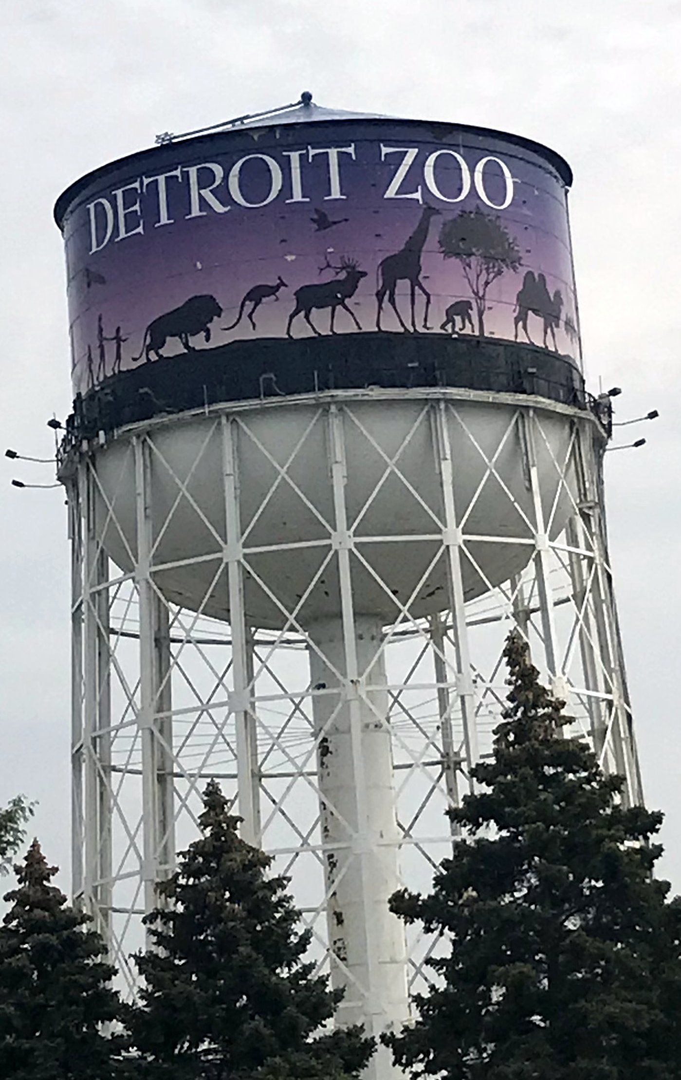 A white steel water tower with a purple band reading Detroit Zoo, decorated with silhouettes of giraffes, elephants and other animals, rising above dark evergreen trees under an overcast sky.