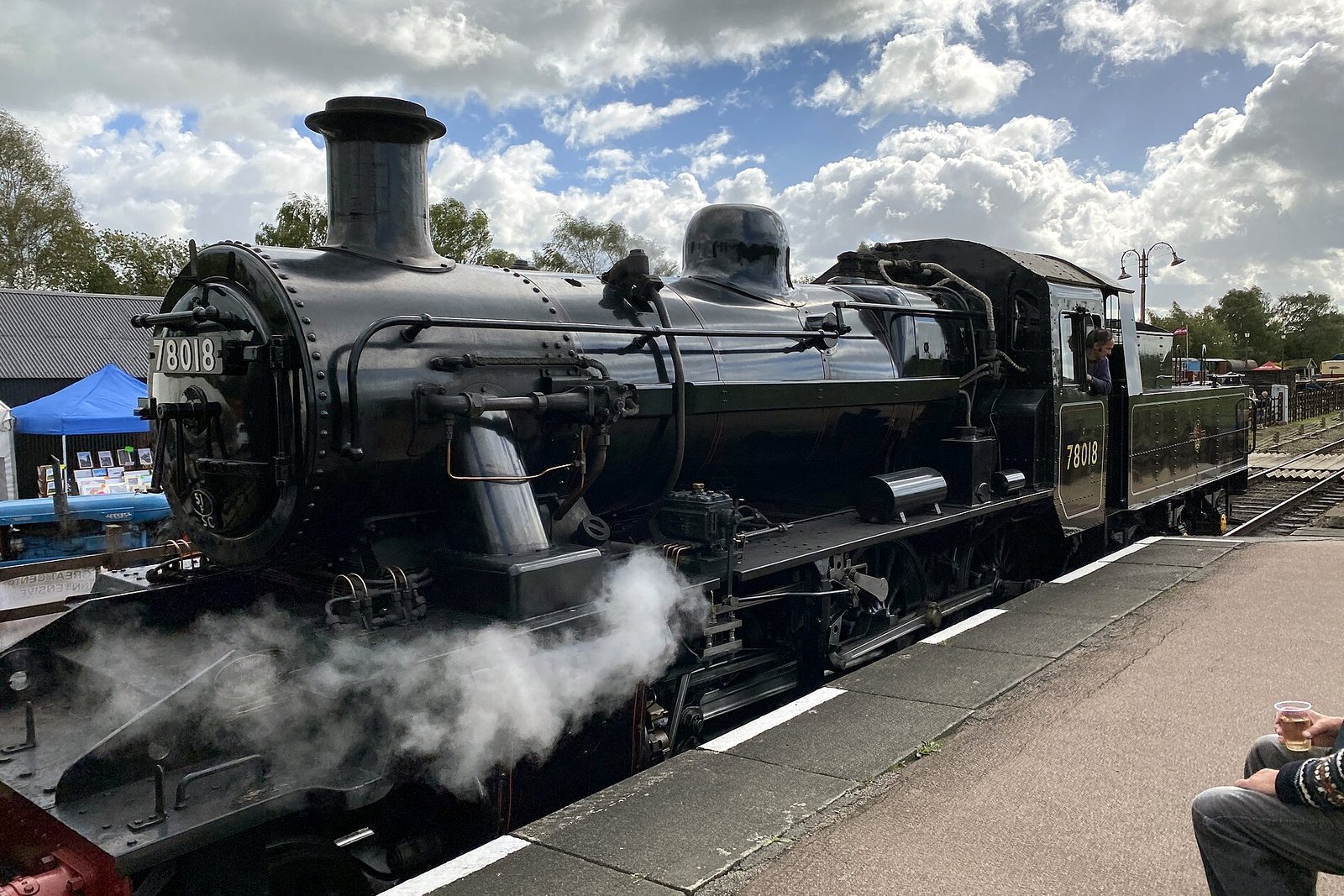 A black steam locomotive pulls passenger coaches through autumn trees at a heritage railway gala, in a file photo.