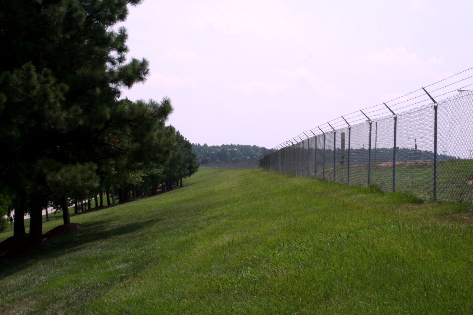 A tall chain-link fence topped with barbed wire runs along the top of a grassy slope, with pine trees at left.
