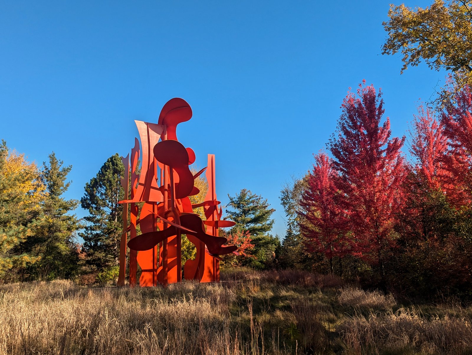 A tall red-orange abstract metal sculpture stands in a field of dry golden grass under a deep blue sky, beside bright red maple trees and dark evergreens.