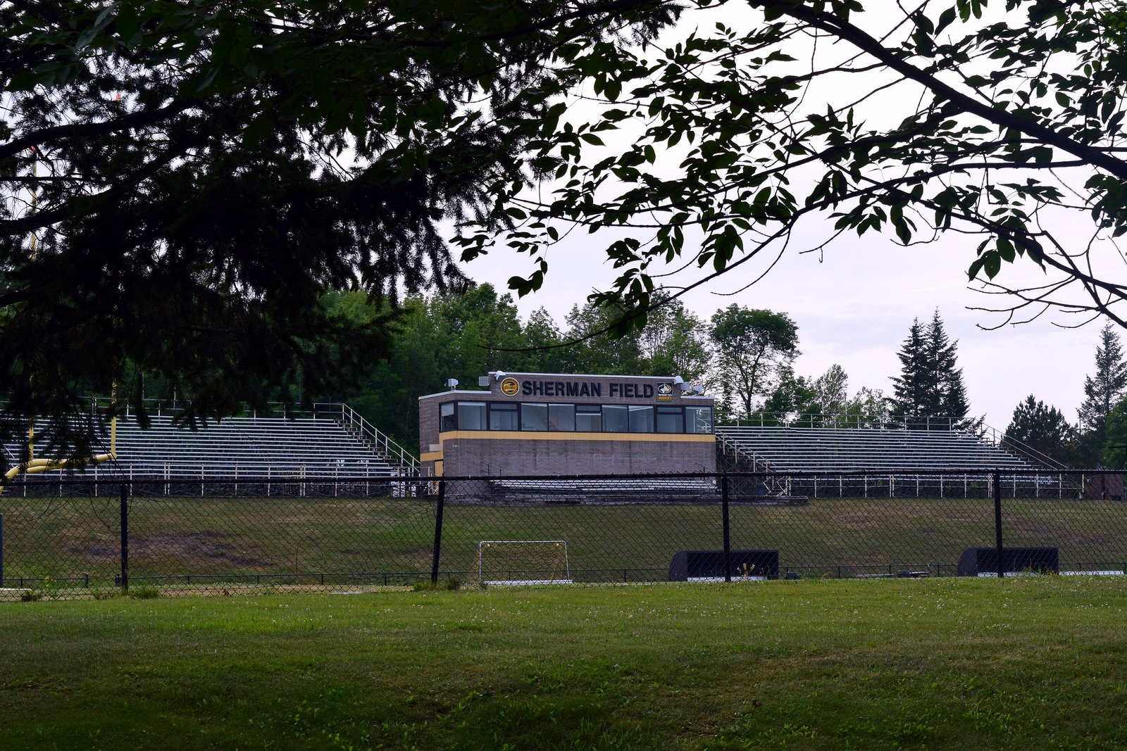 An empty football field with a bright green turf surface and goalpost, surrounded by trees, at Michigan Tech.