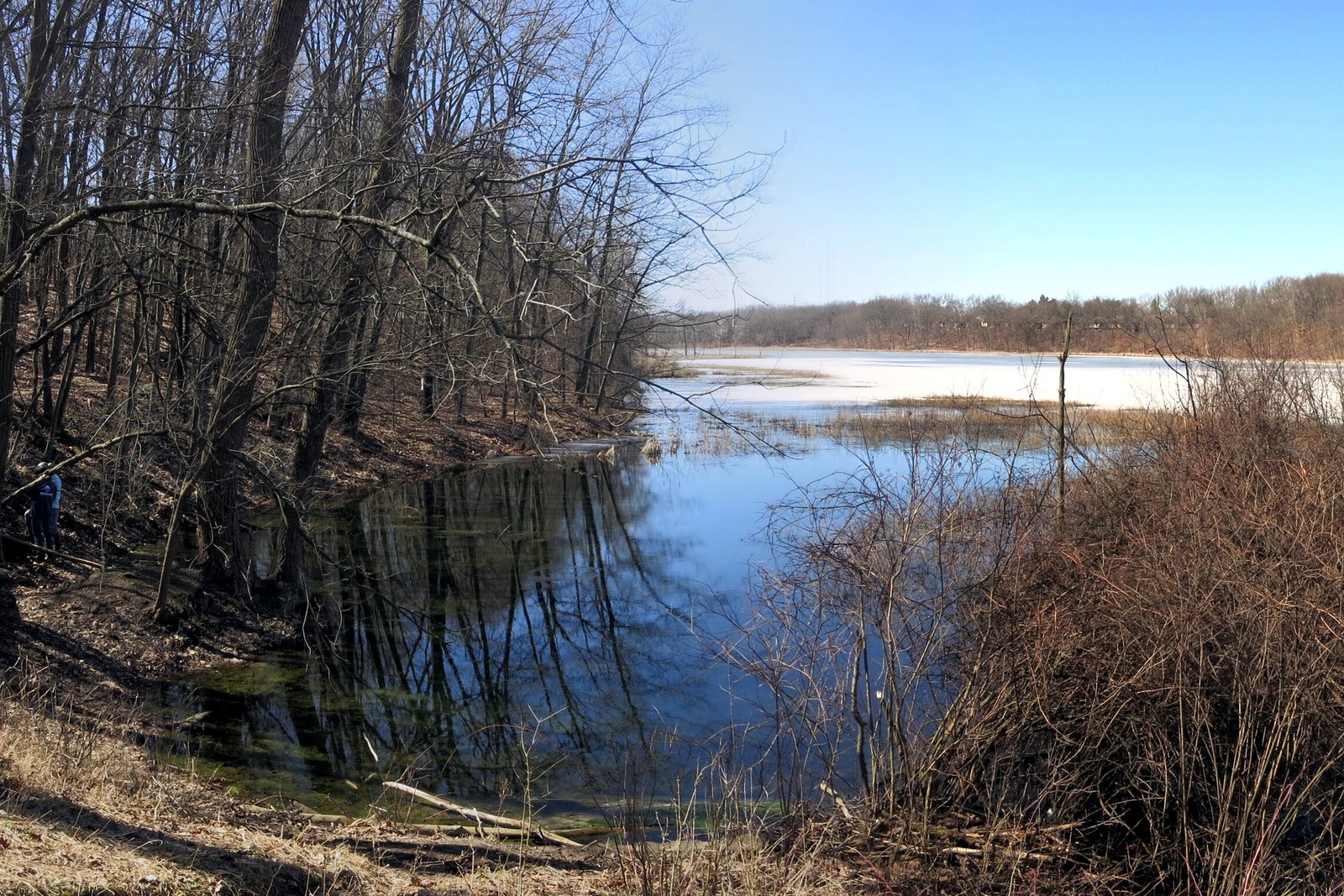 A marshy lake edge with bare trees on the left, dry tan grasses and shrubs in front, and open water reflecting a pale blue sky.