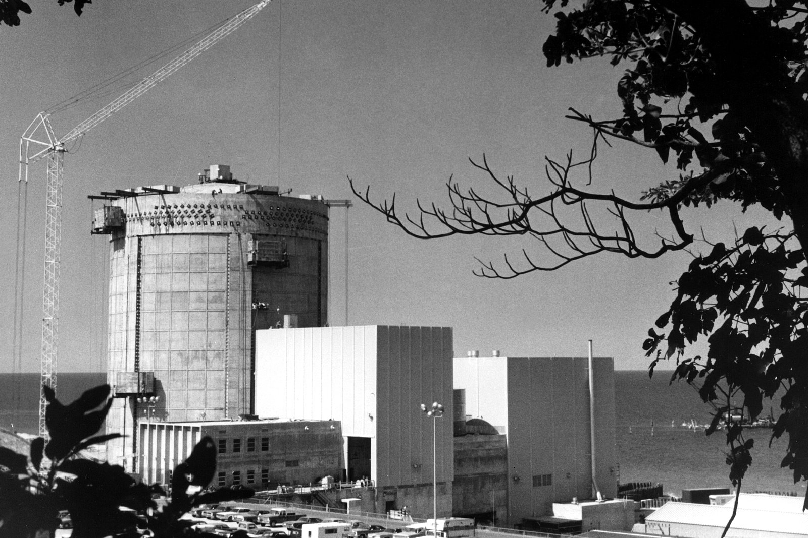 A black-and-white photo of a cylindrical reactor building and boxy plant structures beside a construction crane, framed by tree branches.