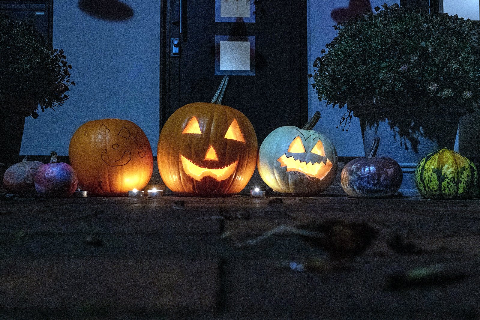 Three glowing carved jack-o’-lanterns and several small pumpkins sit in a row outside a house at night.