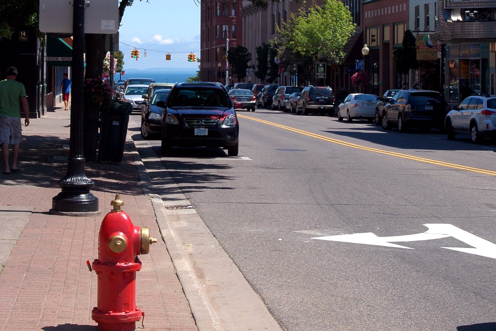 A downtown street of brick commercial buildings with flower planters, trees and a red fire hydrant on the sidewalk.