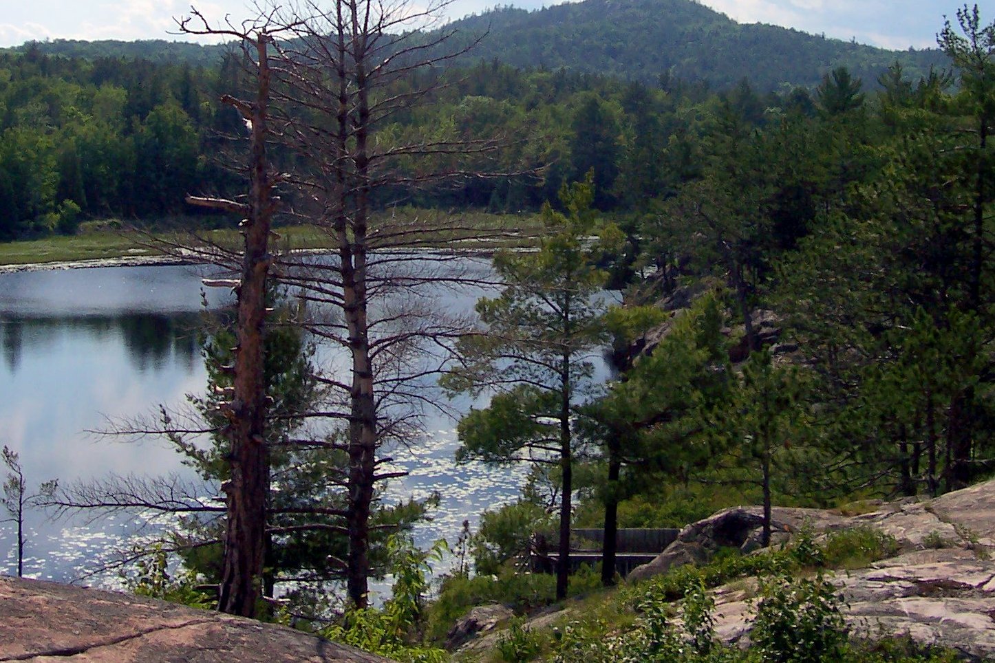 A rocky lakeshore and pine trees in the foreground, with a forested, rounded mountain rising behind a calm bay under a blue sky.