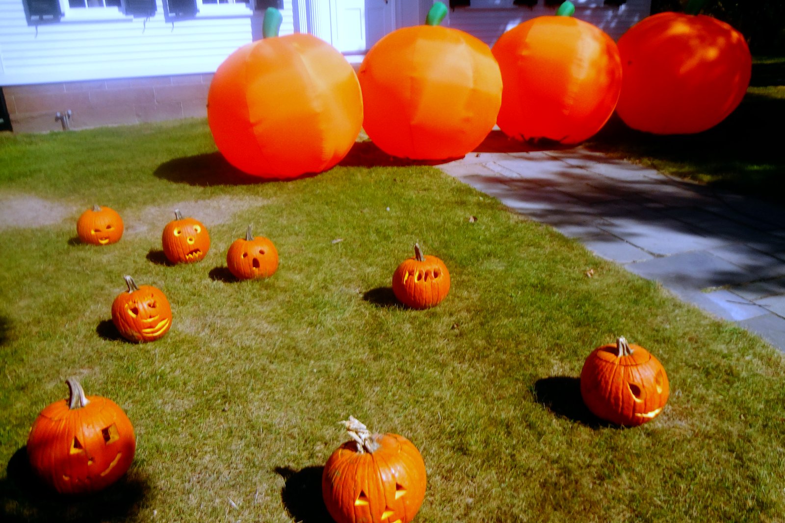 Carved jack-o’-lanterns spread across a lawn in front of a row of oversized pumpkin decorations at Greenfield Village in Dearborn.
