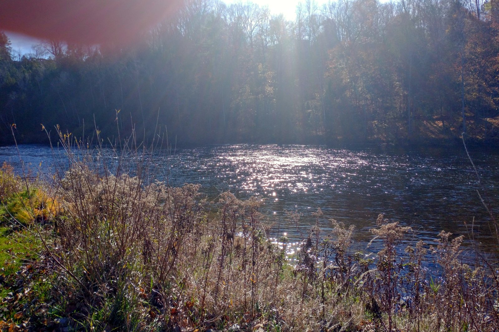 Sunlight glints off a wide river lined with tall dry grasses and a hazy, wooded far bank in late fall.