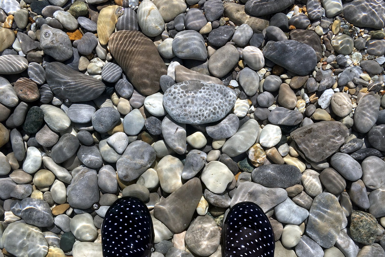 Clear shallow water over a lakeshore covered in smooth gray and tan stones of many sizes.