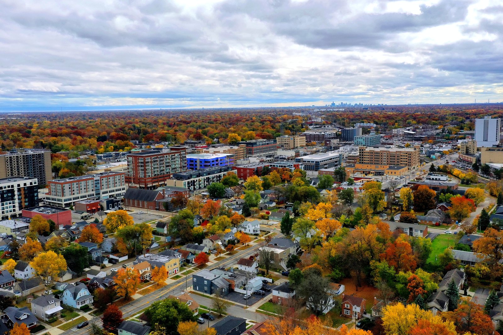 An aerial view of Royal Oak in fall color, with houses and tree-lined streets in front, downtown apartment and office buildings in the middle and the Detroit skyline on the horizon.