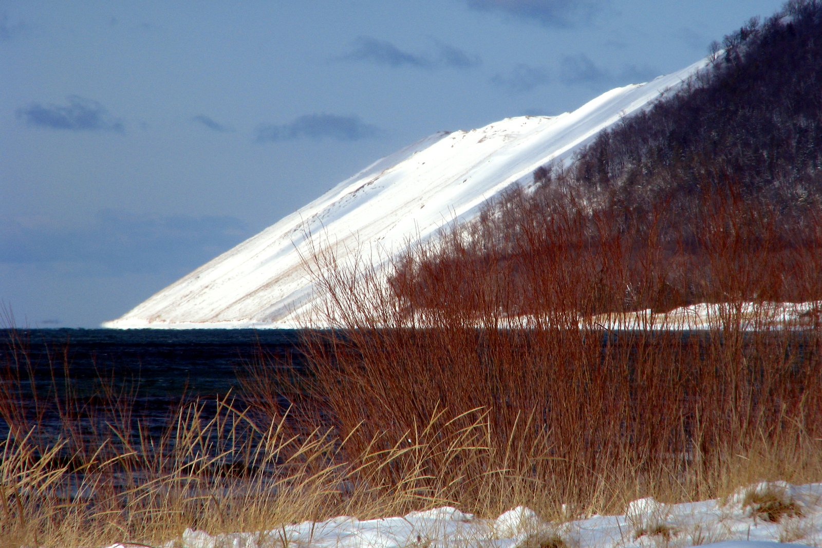 A snow-covered dune bluff slopes down to dark blue Lake Michigan water, seen past reddish shrubs and tan beach grass on a snowy shore at Sleeping Bear Dunes.