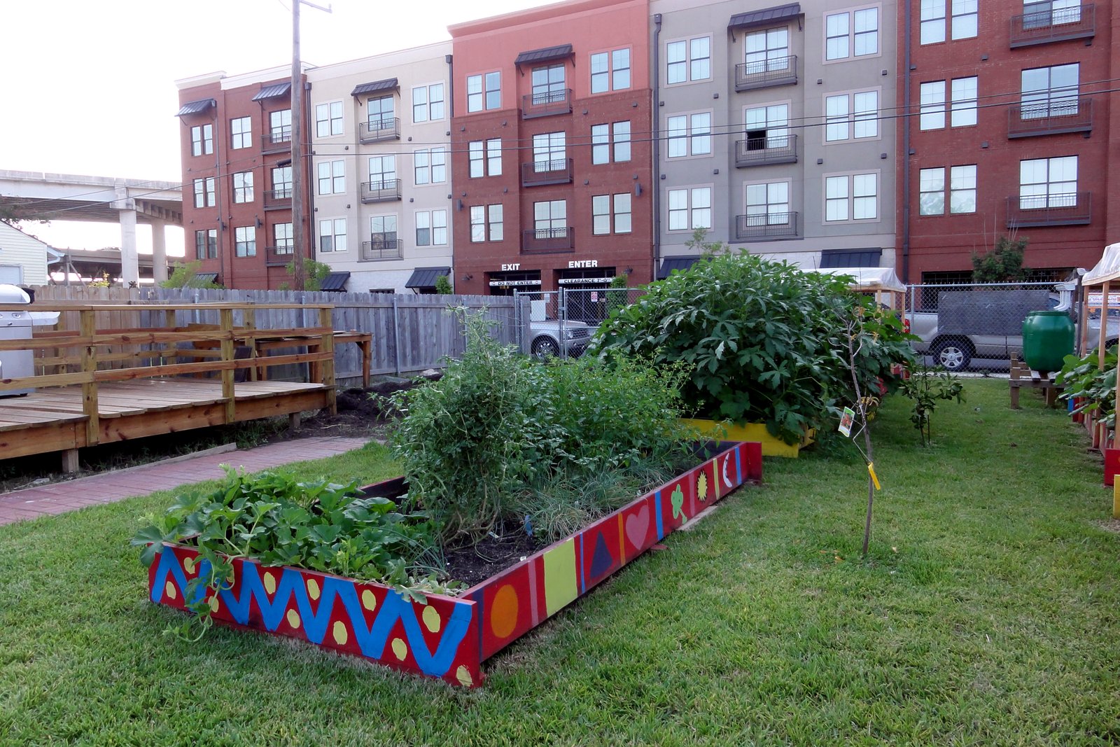 Raised garden beds with brightly painted wooden edging, planted with vegetables, on a lawn in front of apartment buildings.