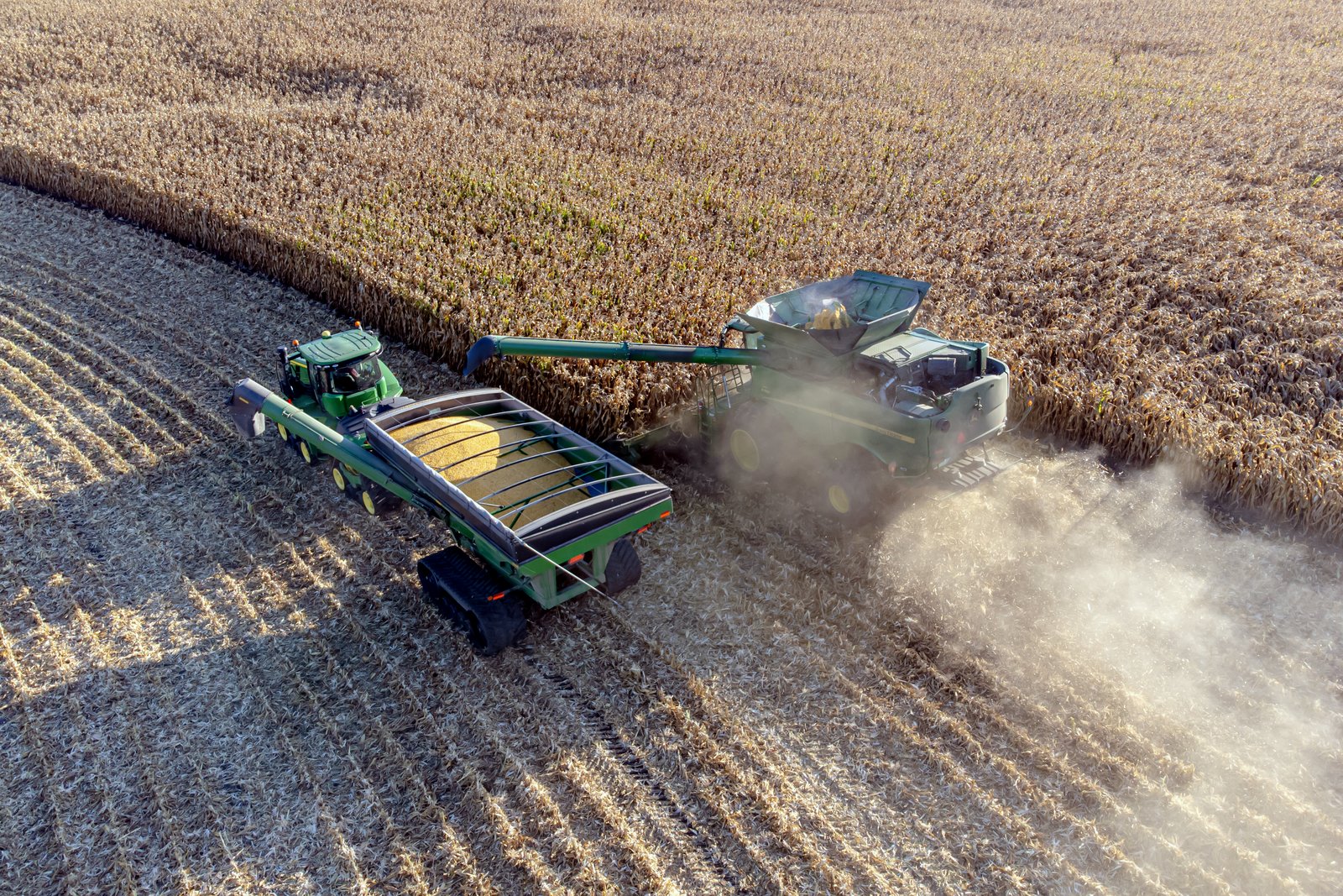 Seen from above, a green combine harvests a field of dry, golden corn while unloading grain through an auger into a green grain cart pulled by a tractor, raising a cloud of dust.
