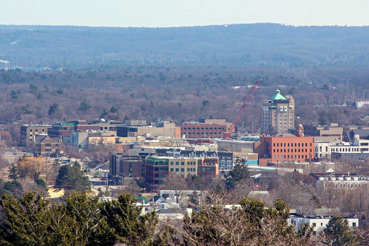A wide view of downtown Traverse City from a hill, with brick buildings, a tall hotel tower and trees in the foreground under a hazy sky.