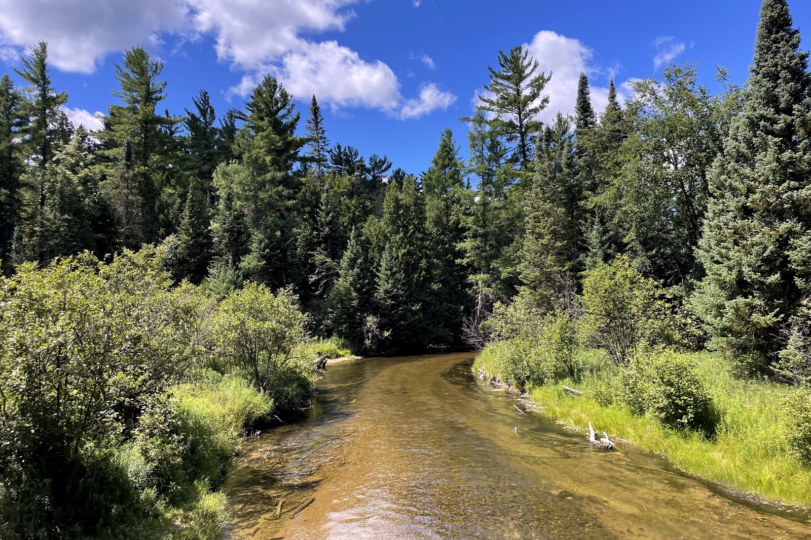 A shallow, clear river winds between grassy banks and dense green pine and leafy trees under a blue sky with white clouds.
