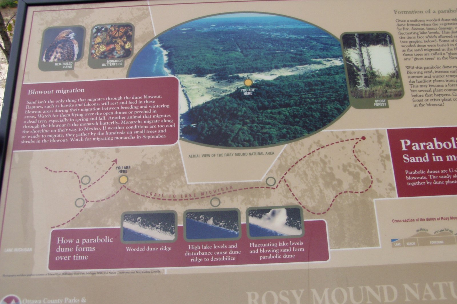 A trailside interpretive sign at Rosy Mound Natural Area showing a map and photos of Lake Michigan dunes, with the park name along the bottom.