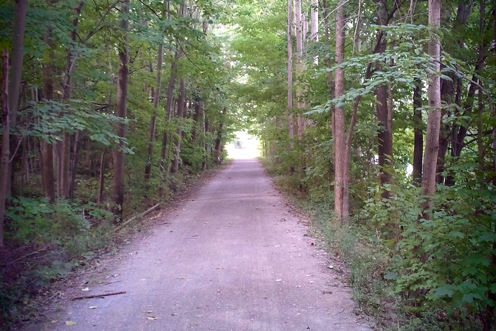 A paved multi-use trail runs through green woods beside a wooden rail fence, with a yellow-and-black trail marker post in the foreground.