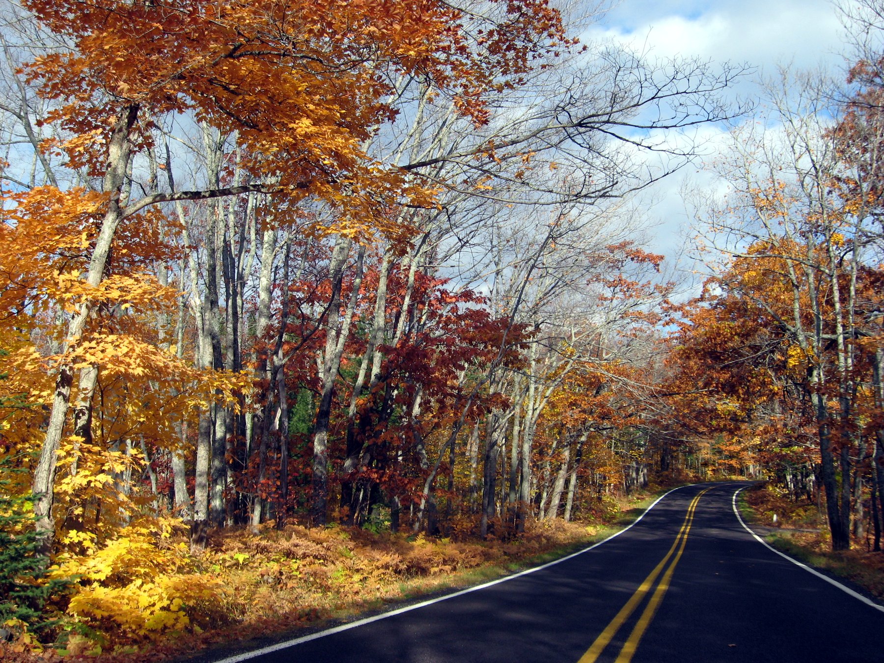 A two-lane road curving through yellow, orange and red fall trees on the way to Copper Harbor.