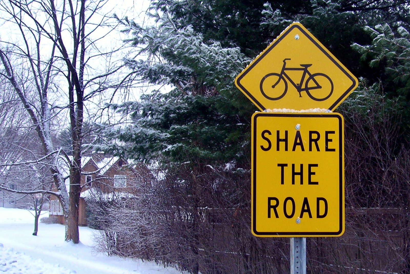 A yellow diamond bicycle warning sign above a yellow Share the Road plaque on a metal post beside a snowy path lined with evergreens and bare trees.